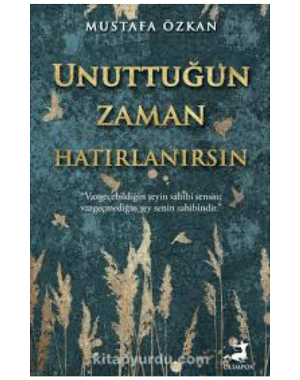 Unuttuğun Zaman Hatırlanırsın

Mustafa Özkan | OLİMPOS YAYINLARI